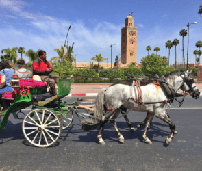 Unveiling the Best Budget-Friendly Destinations for October Travel Adventures