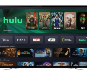 Disney+ April 2024 Lineup Revealed: Exciting New Releases and Hulu Integration